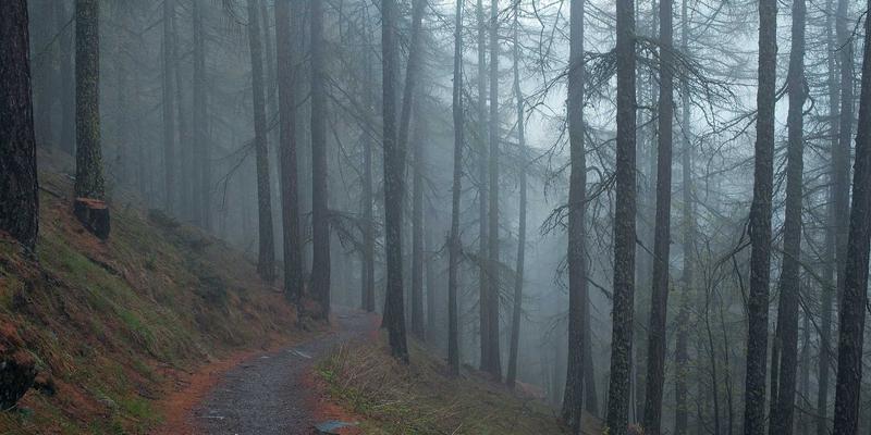 JS-CMM11：融合CMMI最佳实践，驱动企业级过程改进与卓越绩效