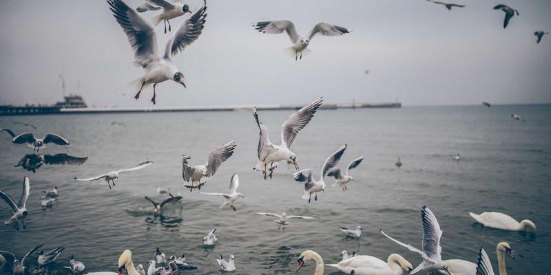 JS-CMM24：软件工程过程改进的新一代实践框架