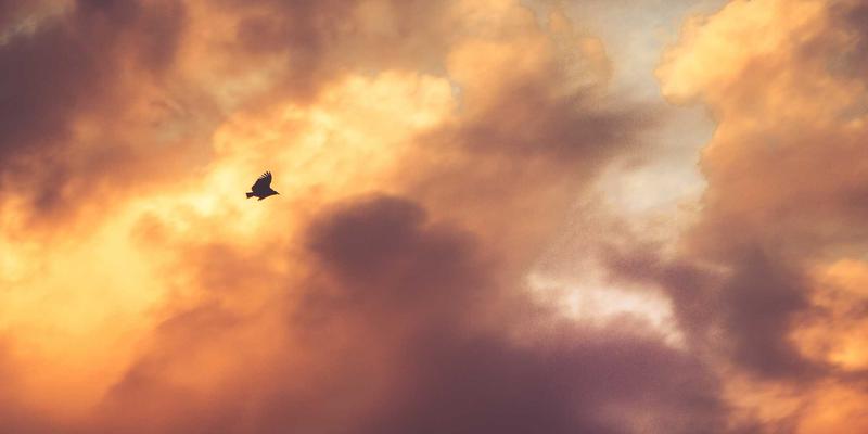 JS-CMM49：连接敏捷实践与CMMI过程改进的最佳实践框架