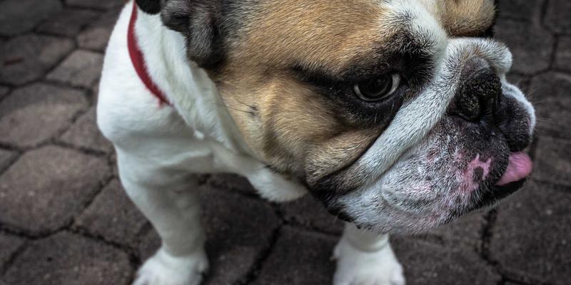 JS-CMM55深度解析:连接CMM与CMMI的桥梁与实践框架