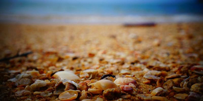 JS-CMM五级成熟度详解：从混乱到优化的软件质量演进之路