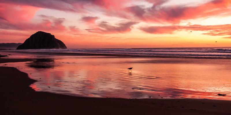 JS-CMM模型驱动的前端性能预算管理与持续监控最佳实践