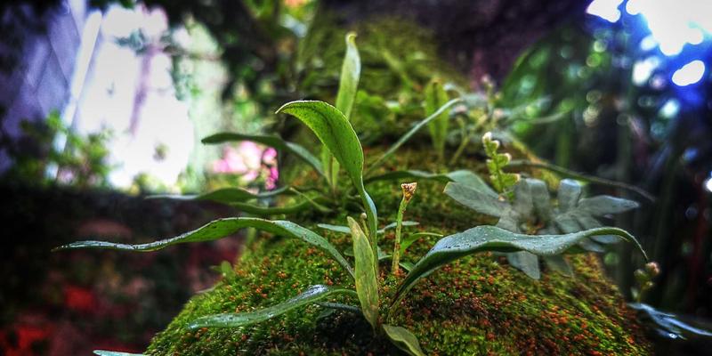 从混乱到卓越：JS-CMM模型如何重塑前端技术选型与架构决策的规范化之路