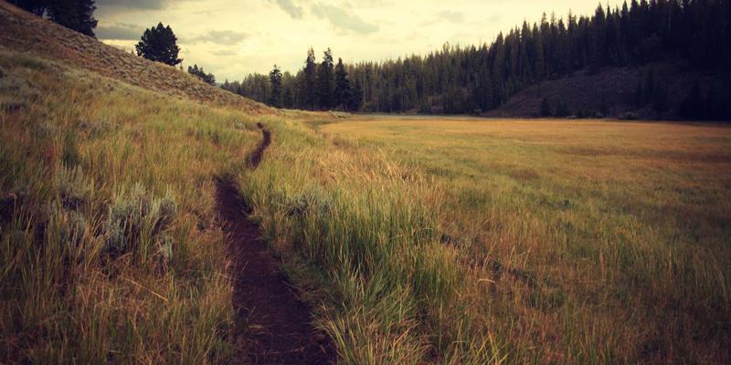 从混乱到卓越：基于JS-CMM的Monorepo项目管理成熟度实践指南