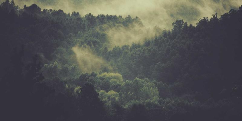 从混沌到卓越：基于JS-CMM五级优化级的前端架构演进之路